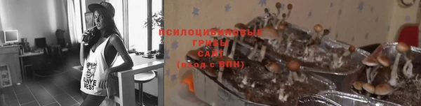 кокс Белокуриха
