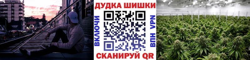 Бошки Шишки THC 21%  сайты даркнета какой сайт  Покровск 